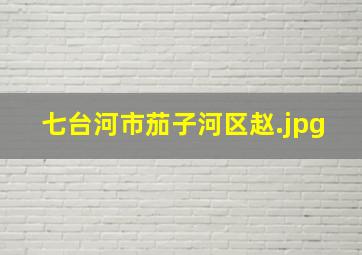 七台河市茄子河区赵