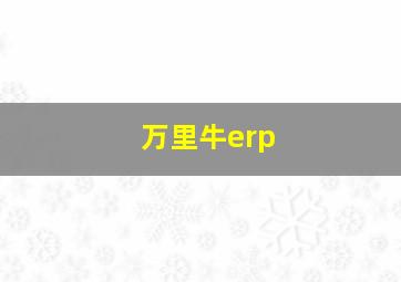 万里牛erp