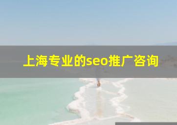 上海专业的seo推广咨询