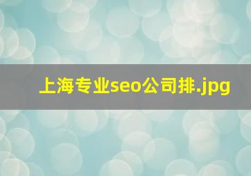 上海专业seo公司排