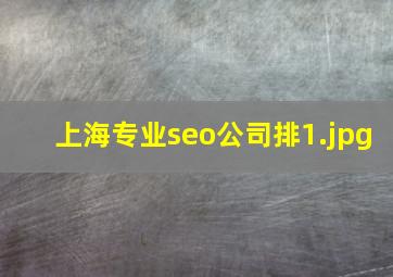 上海专业seo公司排