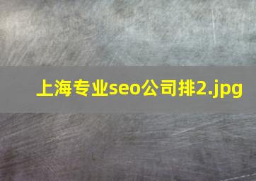 上海专业seo公司排