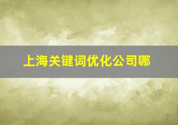 上海关键词优化公司哪