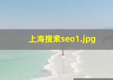 上海搜索seo