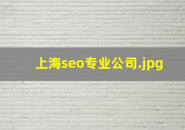 上海seo专业公司