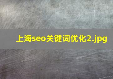 上海seo关键词优化