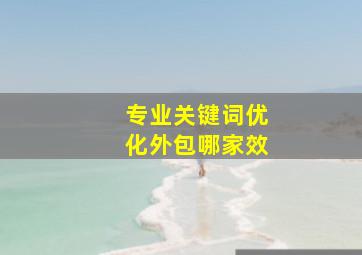 专业关键词优化外包哪家效