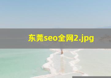 东莞seo全网