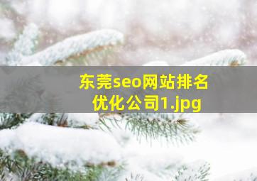 东莞seo网站排名优化公司