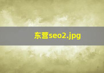 东营seo