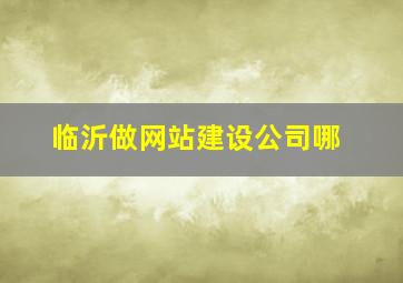 临沂做网站建设公司哪