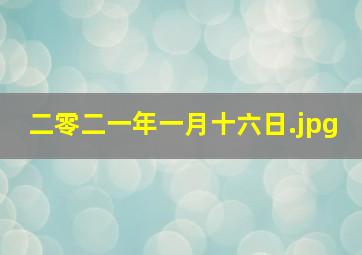 二零二一年一月十六日