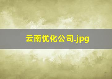 云南优化公司