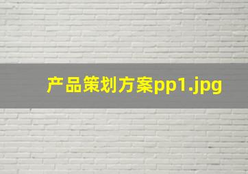 产品策划方案pp