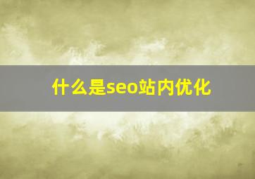 什么是seo站内优化