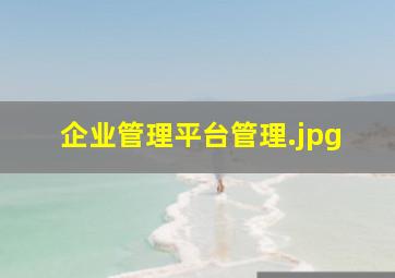 企业管理平台管理