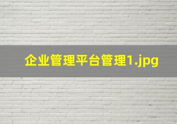 企业管理平台管理