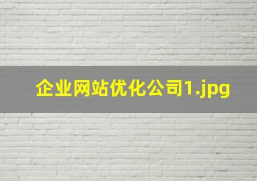 企业网站优化公司