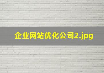 企业网站优化公司