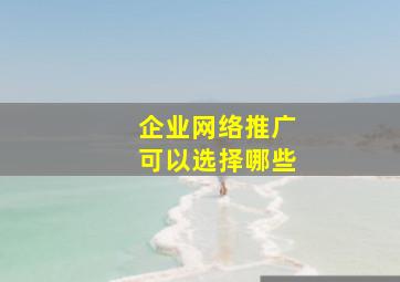 企业网络推广可以选择哪些