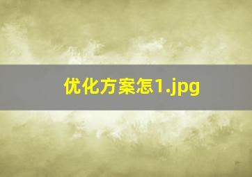 优化方案怎
