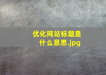 优化网站标题是什么意思