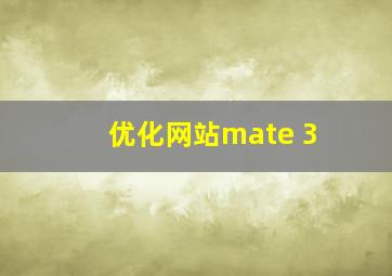 优化网站mate 3