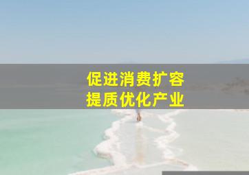 促进消费扩容提质优化产业