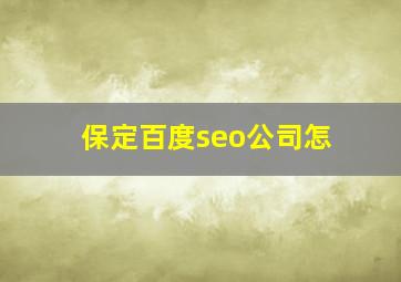 保定百度seo公司怎