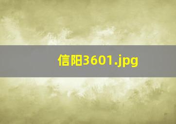 信阳360