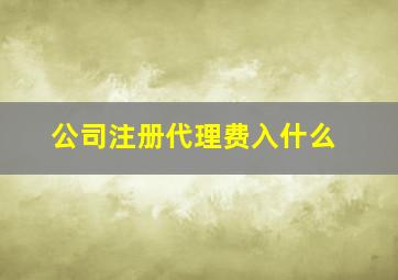 公司注册代理费入什么