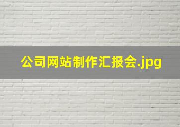 公司网站制作汇报会