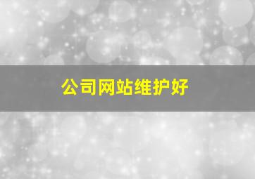 公司网站维护好