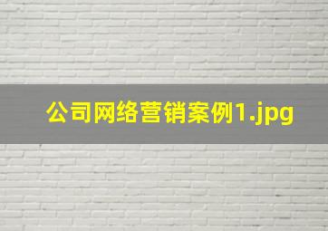 公司网络营销案例
