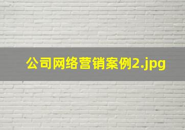 公司网络营销案例