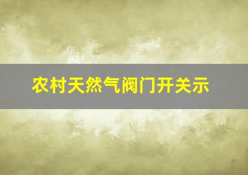 农村天然气阀门开关示