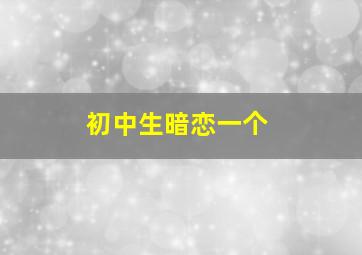 初中生暗恋一个