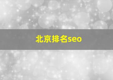 北京排名seo