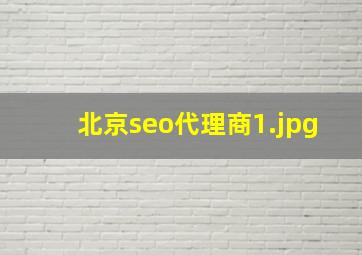 北京seo代理商
