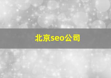 北京seo公司