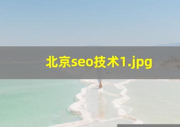 北京seo技术