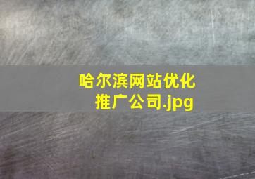 哈尔滨网站优化推广公司