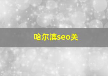 哈尔滨seo关