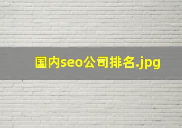 国内seo公司排名