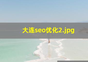 大连seo优化