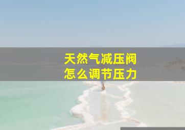 天然气减压阀怎么调节压力