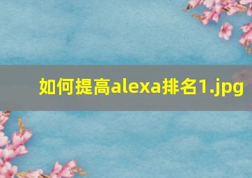 如何提高alexa排名