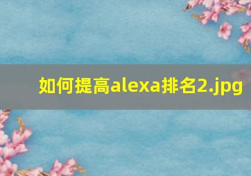 如何提高alexa排名
