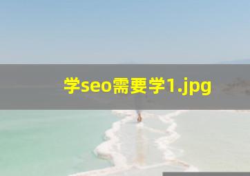 学seo需要学