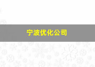 宁波优化公司